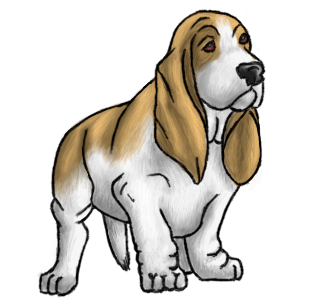 basset hound light yellow clipart